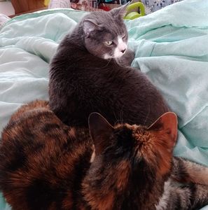 Meet your Posher, Patti